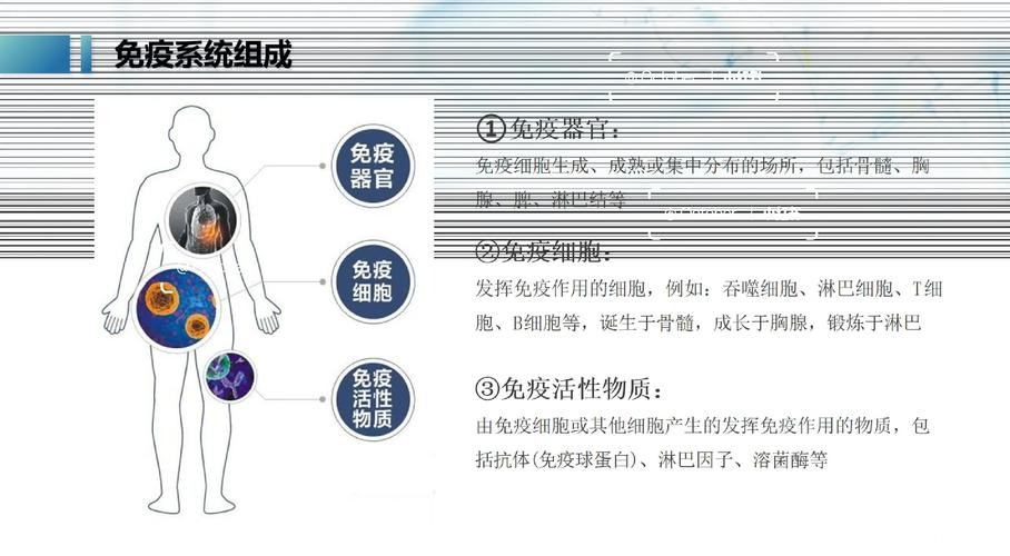 免疫治疗耐药?中国科学家发现显著提升T细胞“战斗力”靶点 免疫治疗耐药?中国科学家发现显著提升T细胞“战斗力”靶点