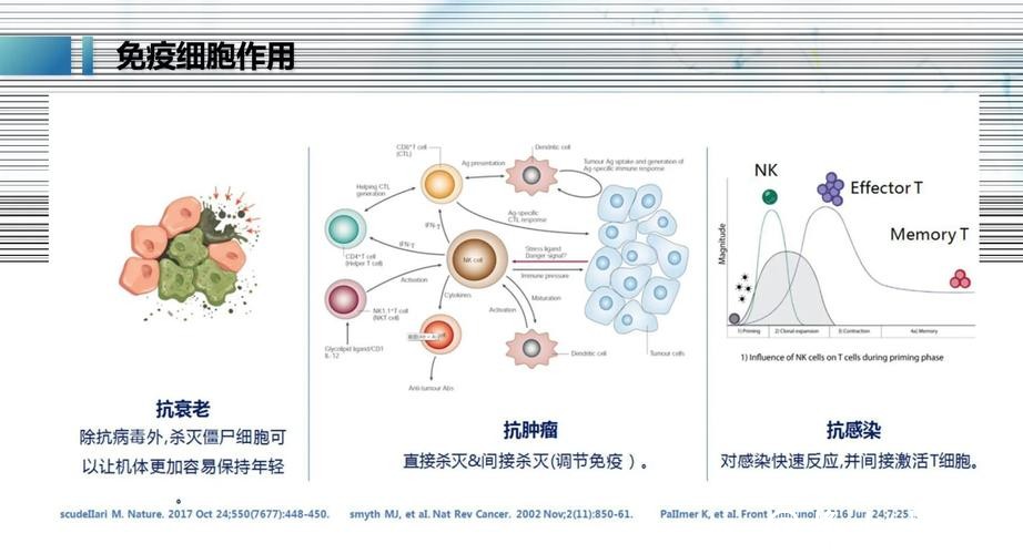 免疫治疗耐药?中国科学家发现显著提升T细胞“战斗力”靶点 免疫治疗耐药?中国科学家发现显著提升T细胞“战斗力”靶点